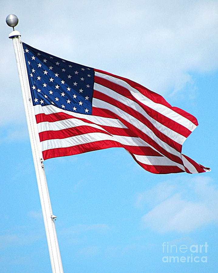 I Pledge Allegiance Photograph by Colleen Kammerer - Fine Art America