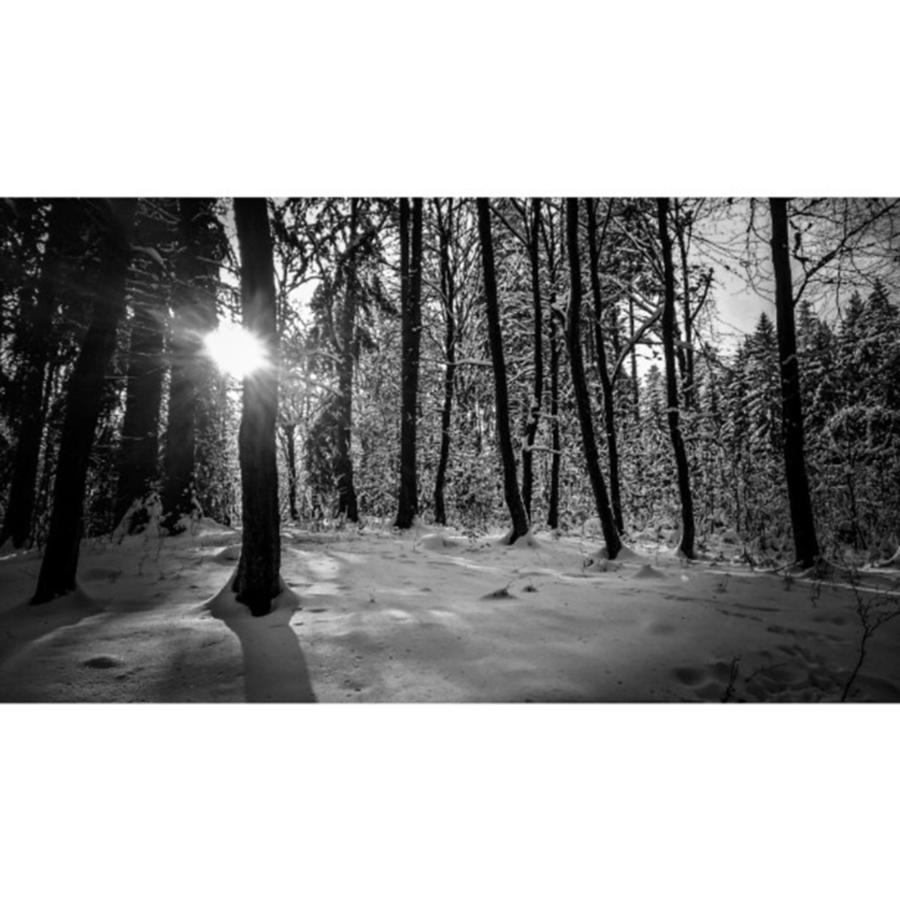 Monochrome Photograph - I Saw It.

#bnw #monochrome #forest by Mandy Tabatt