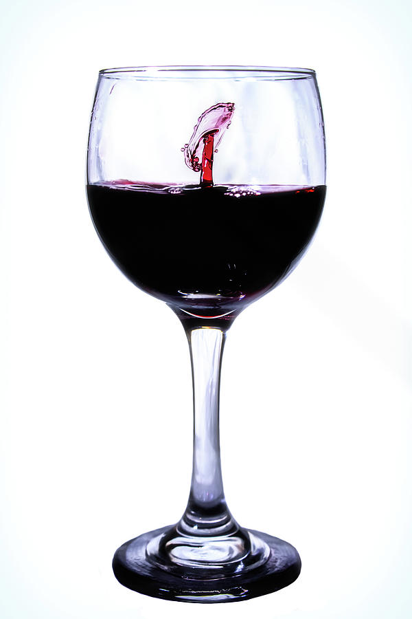 I See a Fish in My Wine Photograph by Marnie Patchett