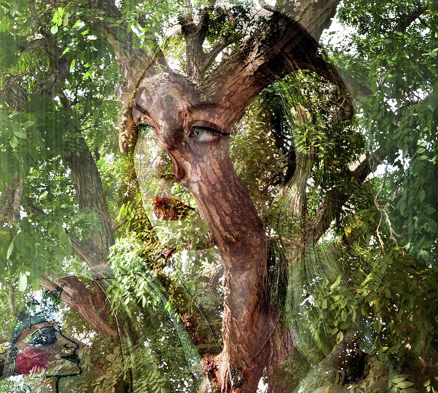 I See Myself in Nature by Marilyn MacCrakin I See Myself in Nature by Marilyn MacCrakin