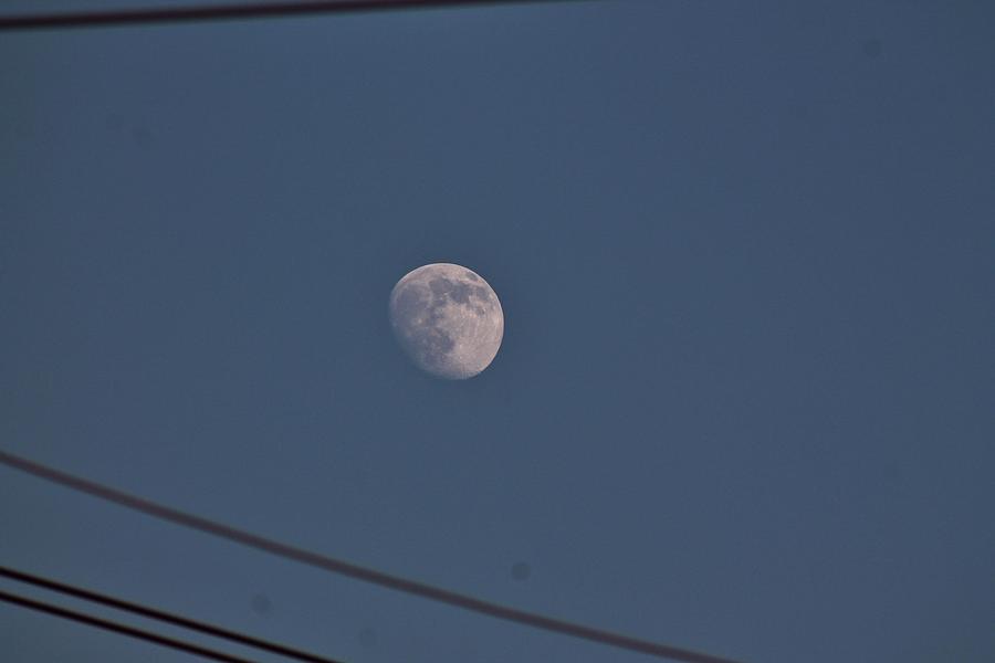 I See The Moon And The Moon Sees Me Photograph By Barbara Langdon Fine Art America 