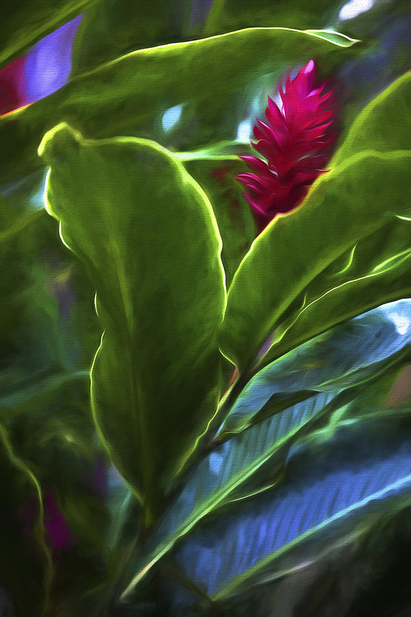 Flower Digital Art - I see You II by Jon Glaser