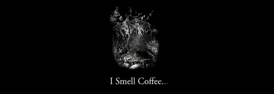 I Smell Coffee Alligator Photograph