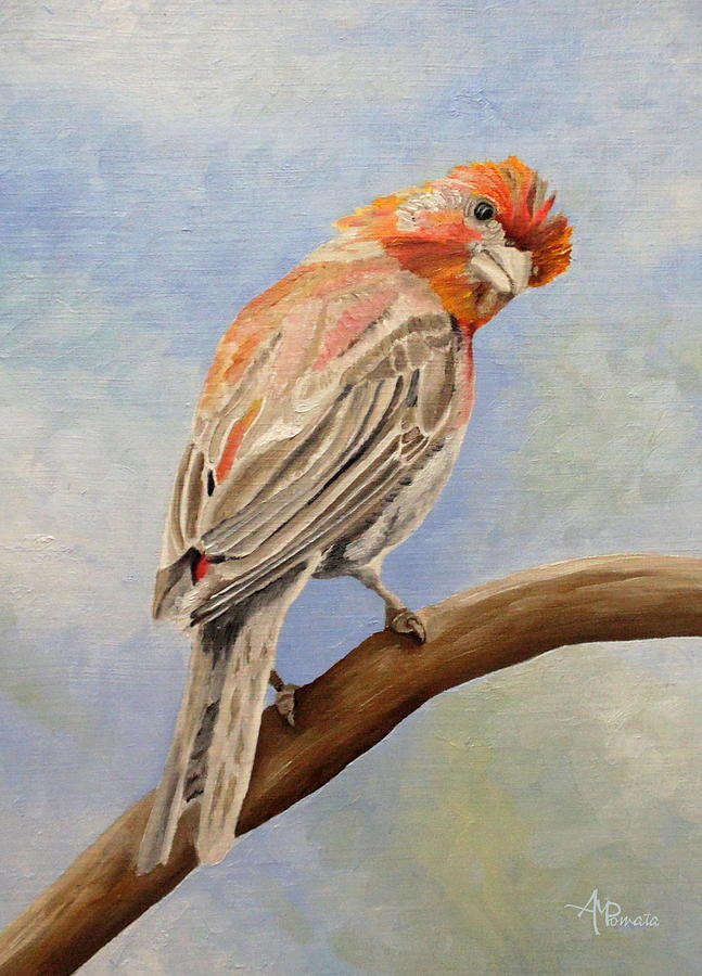 I Spy With My Little Eye - Male House Finch Painting by Angeles M Pomata