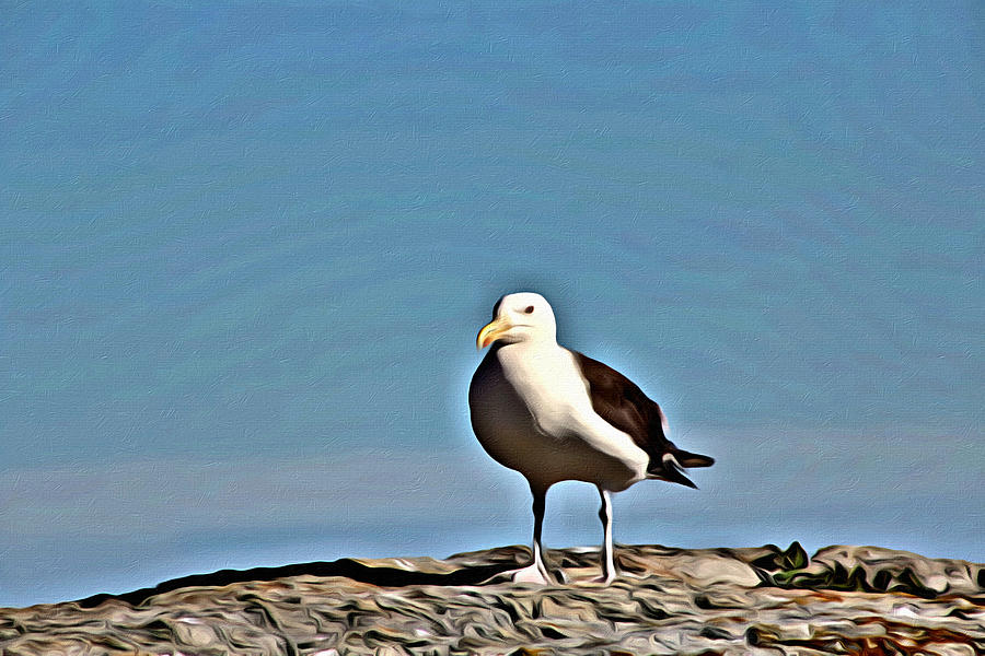 Seagull Photograph - I Stand Alone by Modern Art