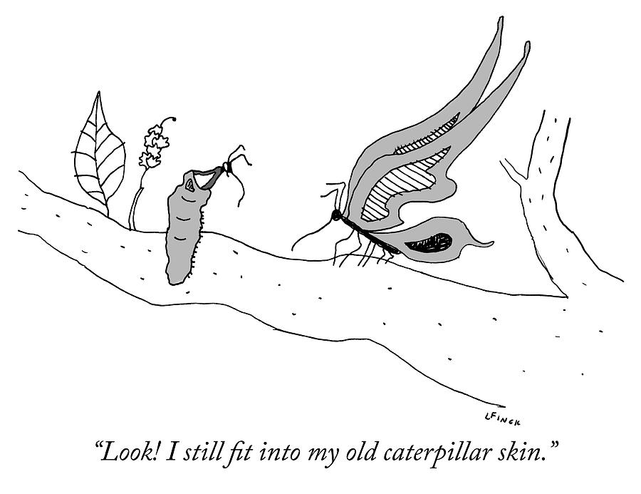 I still fit into my old caterpillar skin Drawing by Liana Finck