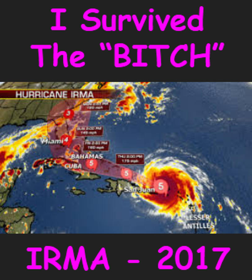 I Survived Irma Digital Art by Lloyd Dobson