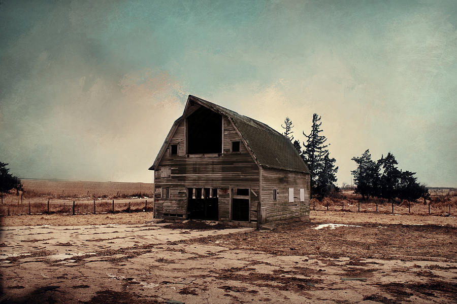 Barn Photograph - I Waited Now its too Late by Julie Hamilton