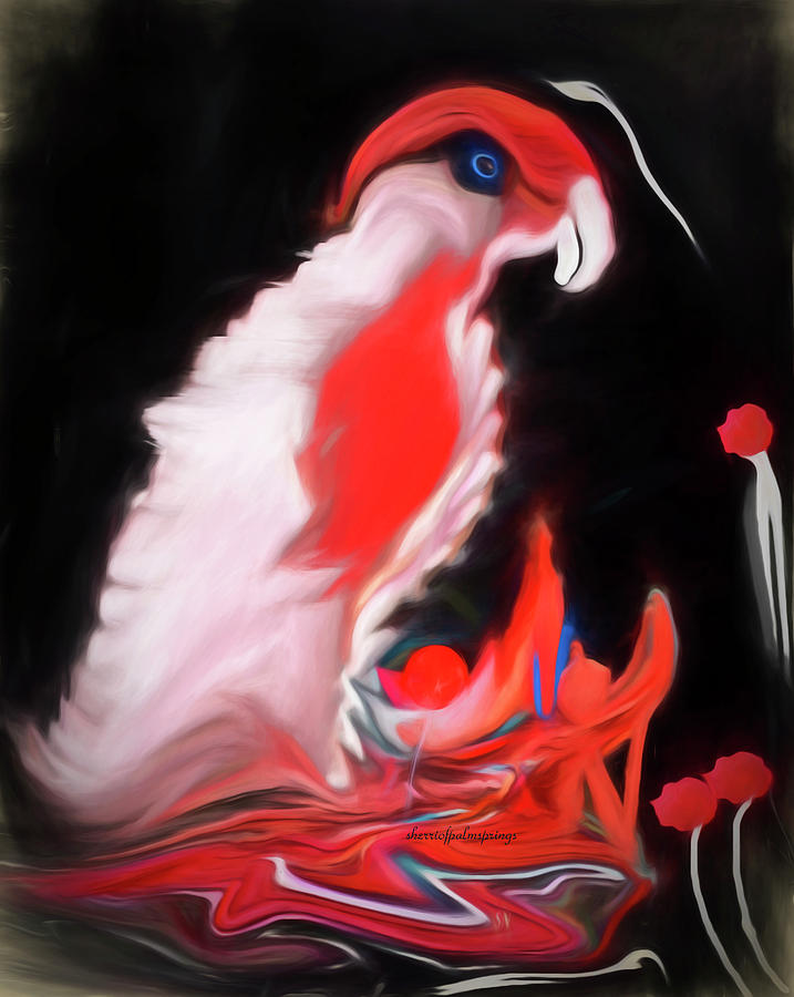 Bird Digital Art - I Want A Cracker by Sherris - Of Palm Springs Bird Digital Art - I Want A Cracker by Sherris - Of Palm Springs