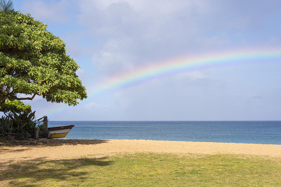I Want To Be There Too - North Shore Oahu Hawaii Photograph by Brian Harig