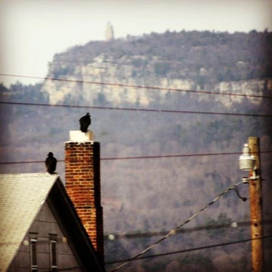 Mohonk Photograph - I Was Looking Up And Saw by Sikena Khadija