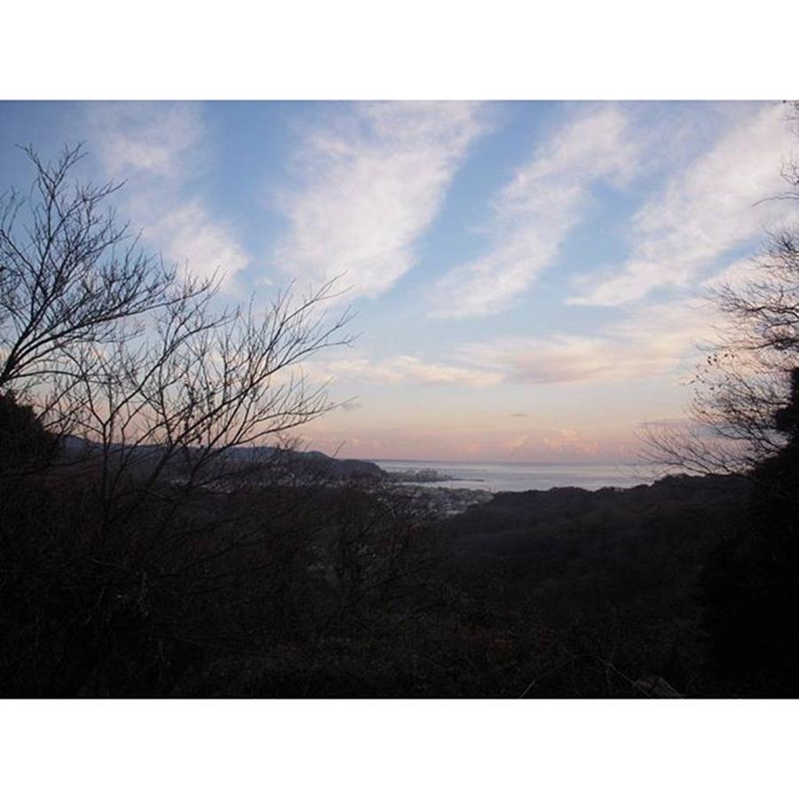 Nature Photograph - I Went To Kamakura In 2012, Winter by Emi Kanno