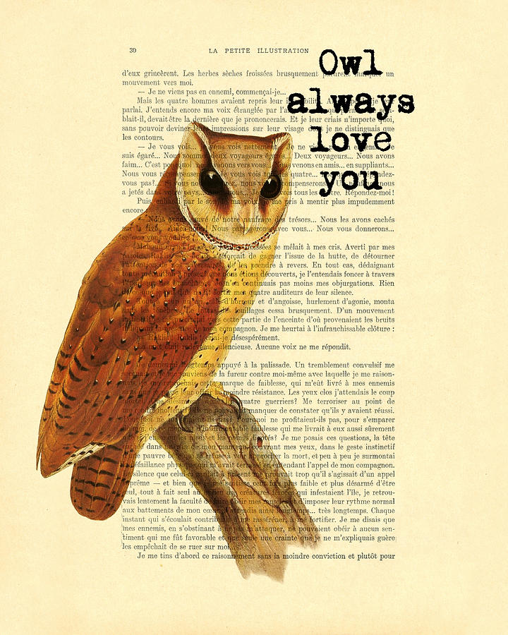 Owl Digital Art - I will always love you by Madame Memento