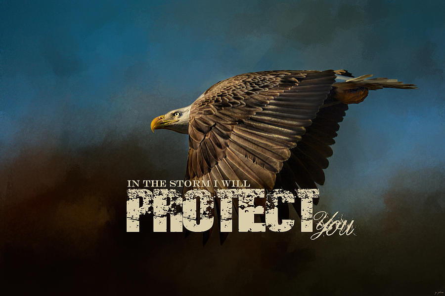 I Will Protect You - Bald Eagle Art Photograph by Jai Johnson