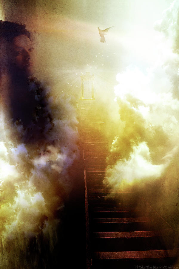 Dove Photograph - I Will Take The Stairs by Yvonne Emerson AKA RavenSoul