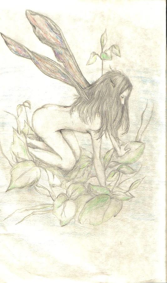 Fairy Drawing - I wish I wish by Jeannie Hack