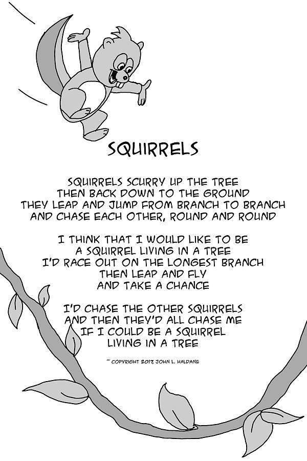 Tree Drawing - I Would Like to Be a Squirrel by John Haldane