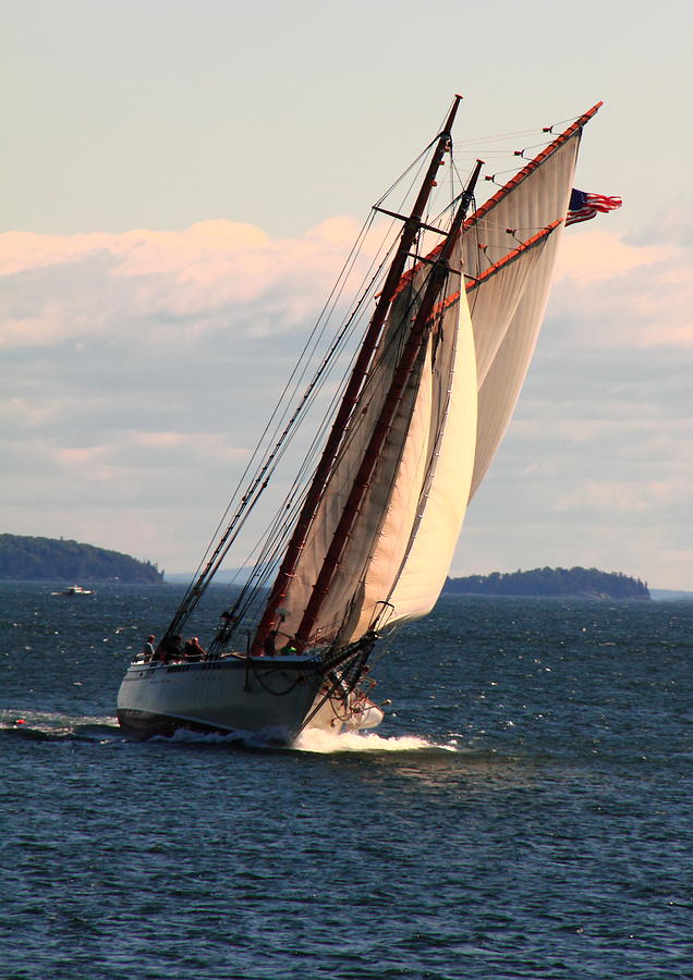 I Would Rather Be Sailing Photograph by Doug Mills