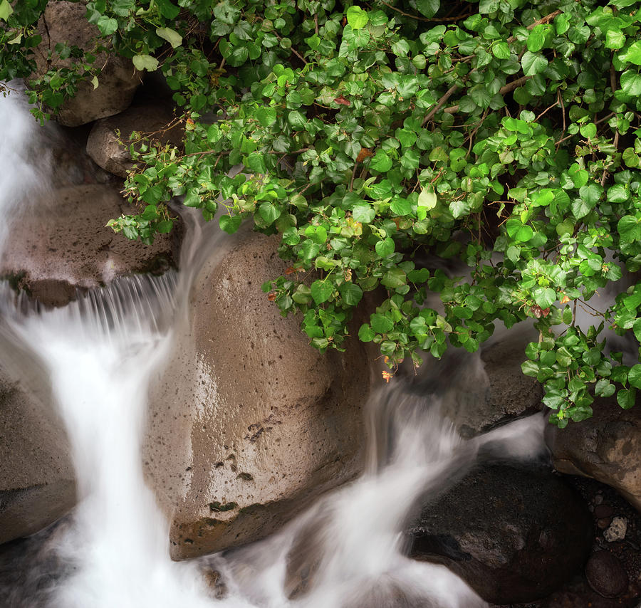 Nature Photograph - Iao Valley River by Christopher Johnson