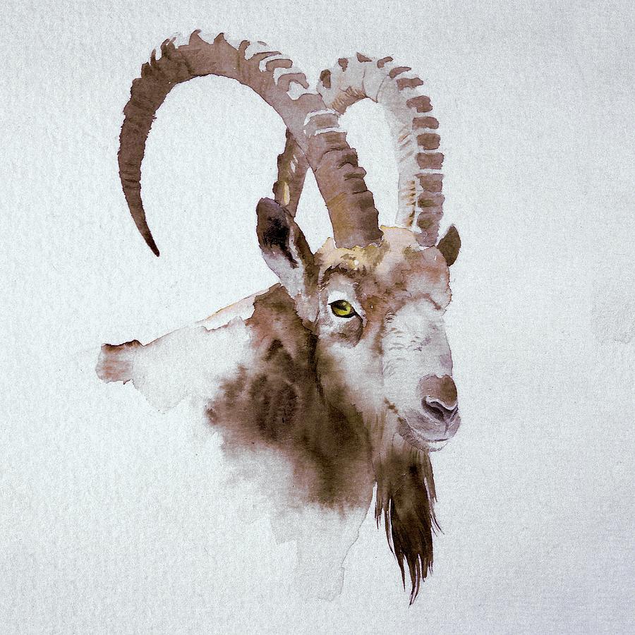Ibex Painting by Attila Meszlenyi