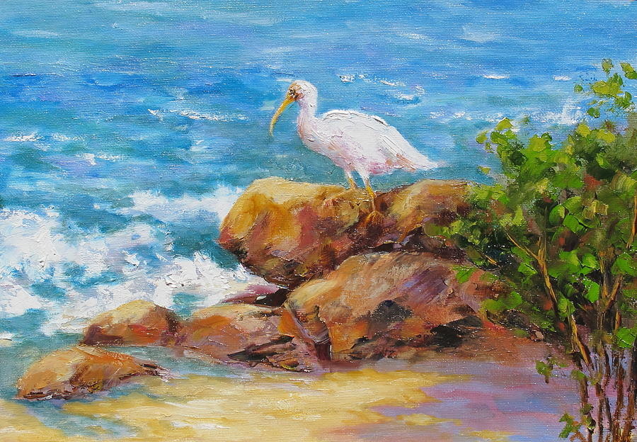 Ibis at Seagate Painting by Barrett Edwards
