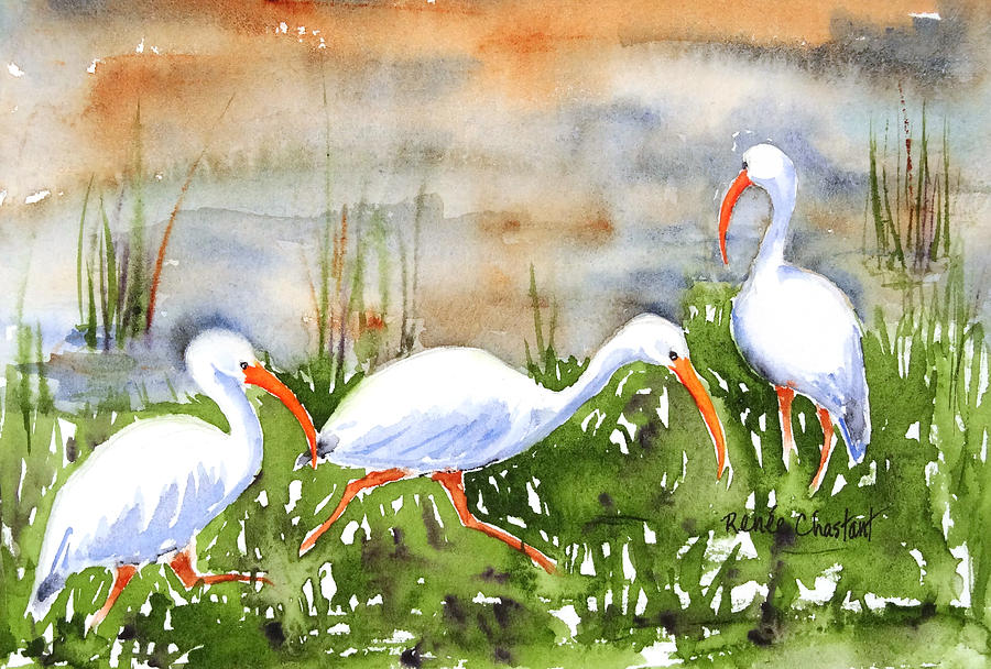 Ibis Painting - Ibis Fest by Renee Chastant