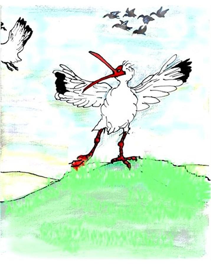 Ibis may never fly again Drawing by Carol Allen Anfinsen