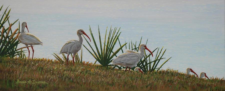 Ibis Outing Painting by Bruce Dumas