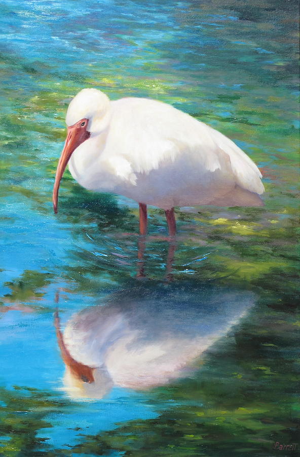 Ibis Reflection Painting by Barrett Edwards