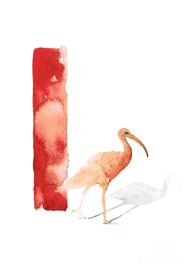 Ibis Painting - Ibis watercolor alphabet art print by Joanna Szmerdt