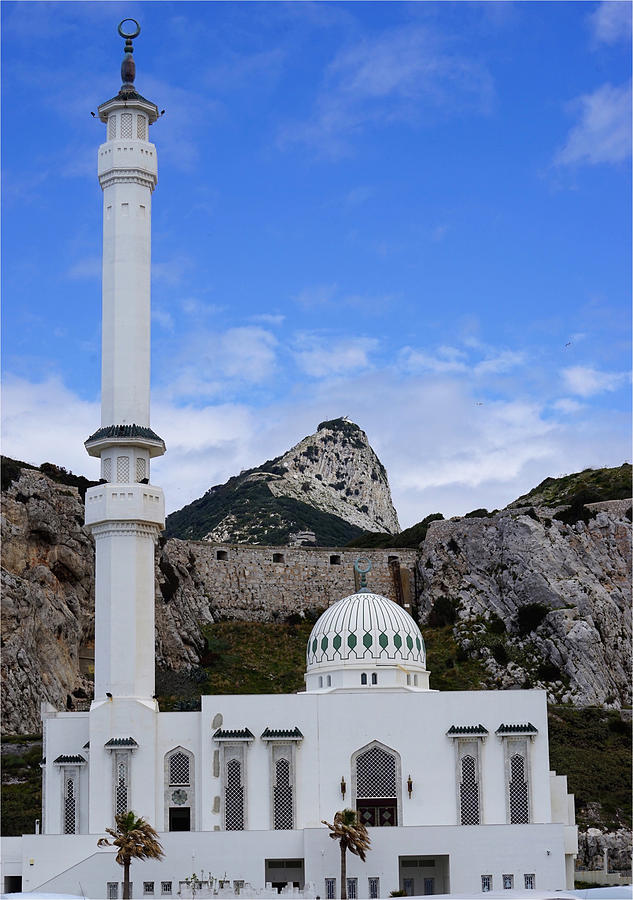 Ibrahim-al-ibrahim Mosque Photograph by Brooke Bowdren