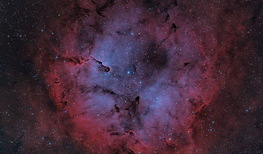Astronomy Photograph - Ic 1396 by Brian Peterson Astronomy Photograph - Ic 1396 by Brian Peterson