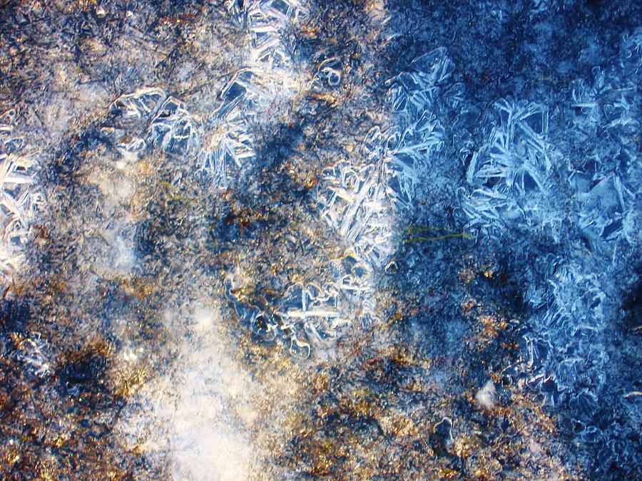 Ice Abstract 14 Photograph by Lori Kingston