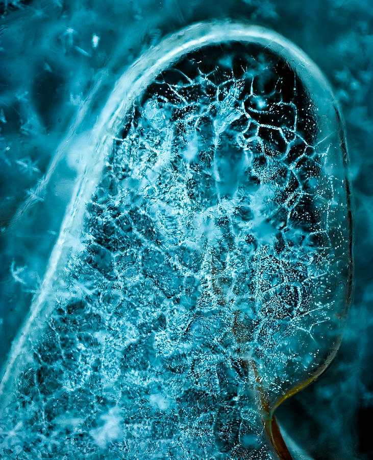 Ice Abstract Deep Blue Photograph