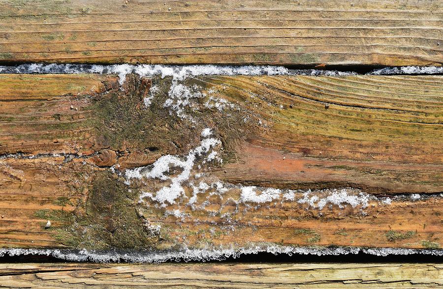 Ice And Snow On The Wood  Digital Art by Lyle Crump