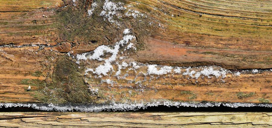 Ice And Snow On The Wood Two  Photograph by Lyle Crump