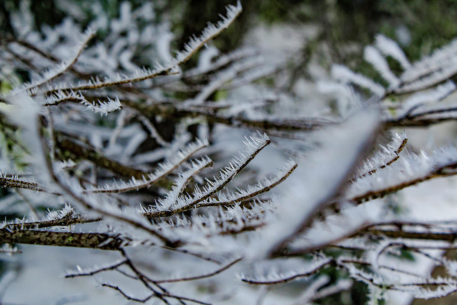 Ice and Wind Photograph by Joseph Broschart - Fine Art America