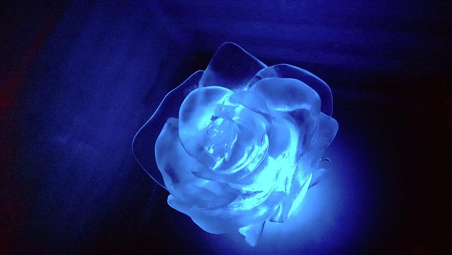 Ice Blue Rose Photograph by DiDesigns Graphics