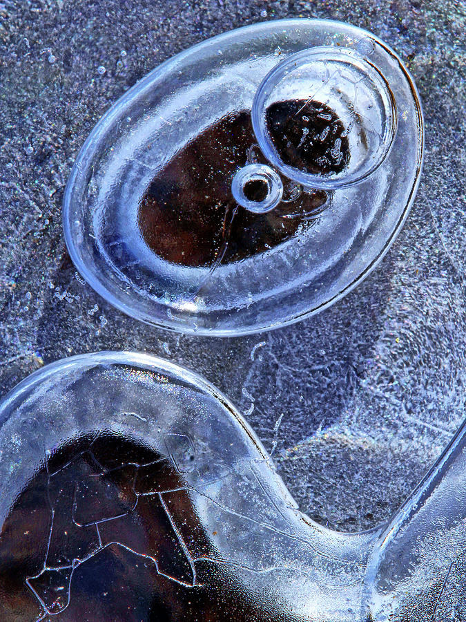 Ice Bubble Abstract Photograph by Carolyn Derstine