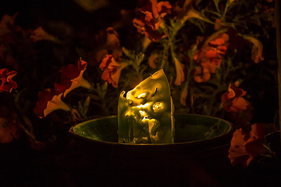 Ice Candle with Petunias Photograph by Albert Seger