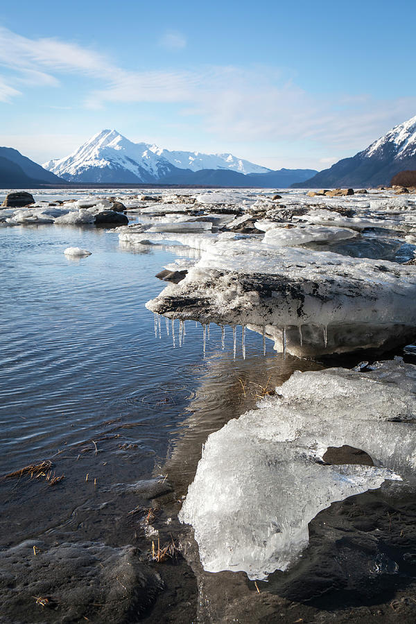 Ice chunks in the Chilkat Estuary Photograph by Michele Cornelius