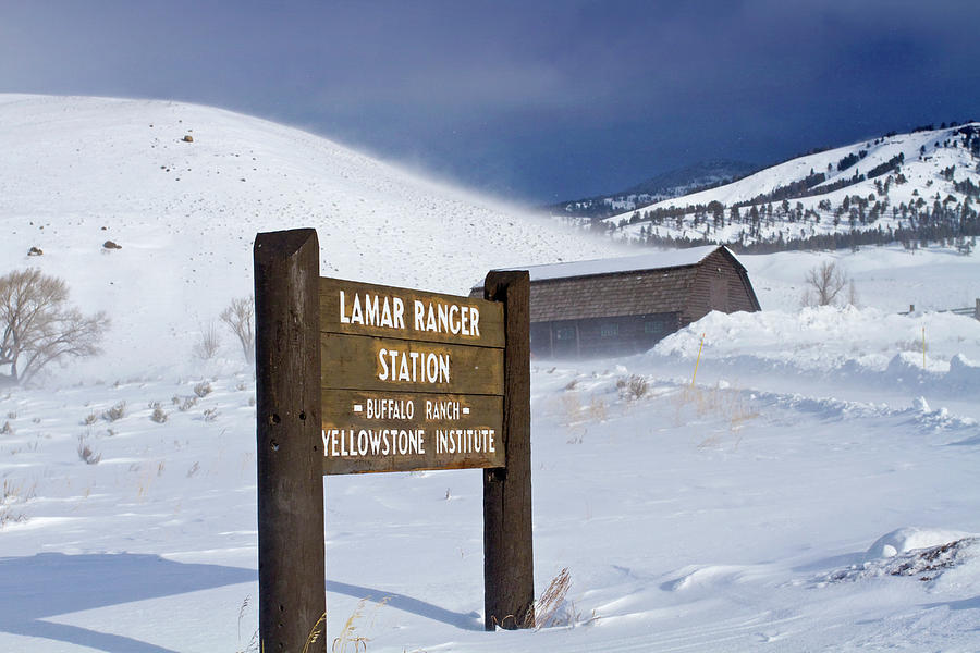 Ice Cold Lamar Valley Photograph by Mark Miller