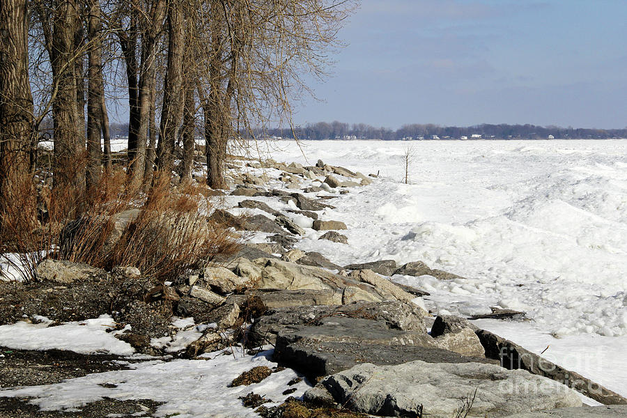 Ice Covered Lake Erie Photograph