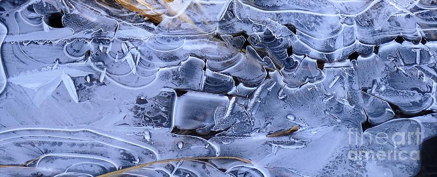 Ice Crystal Art Photograph by Michele Penner