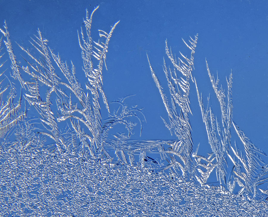 Ice Crystals 3 Photograph by Ira Marcus