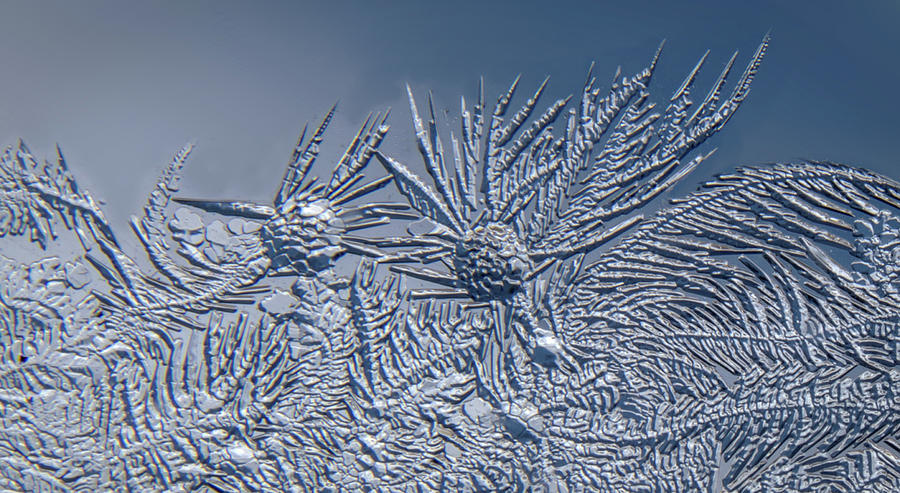 Ice Crystals 4 Photograph by Ira Marcus