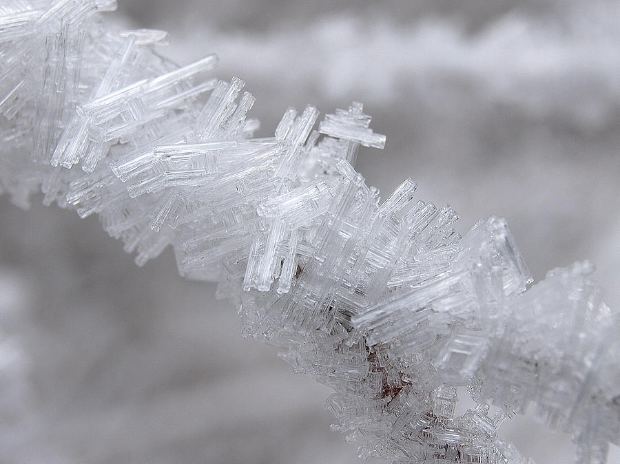 Ice Crystals Photograph by DeeLon Merritt