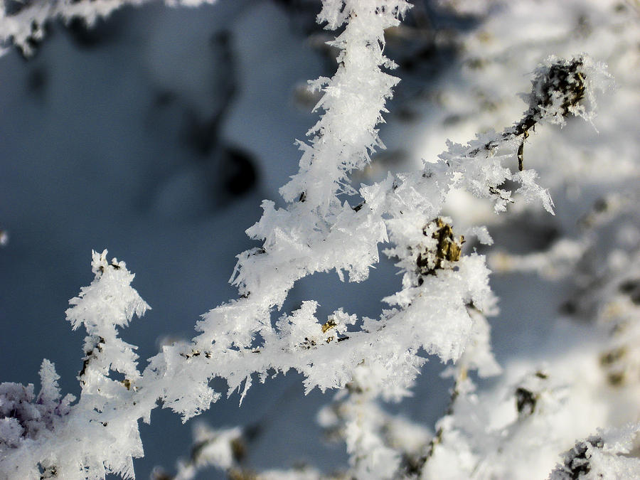 Ice Crystals Photograph by Douglas Neumann - Fine Art America