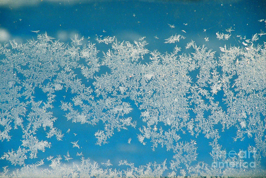 Ice Crystals Photograph by Linda Drown