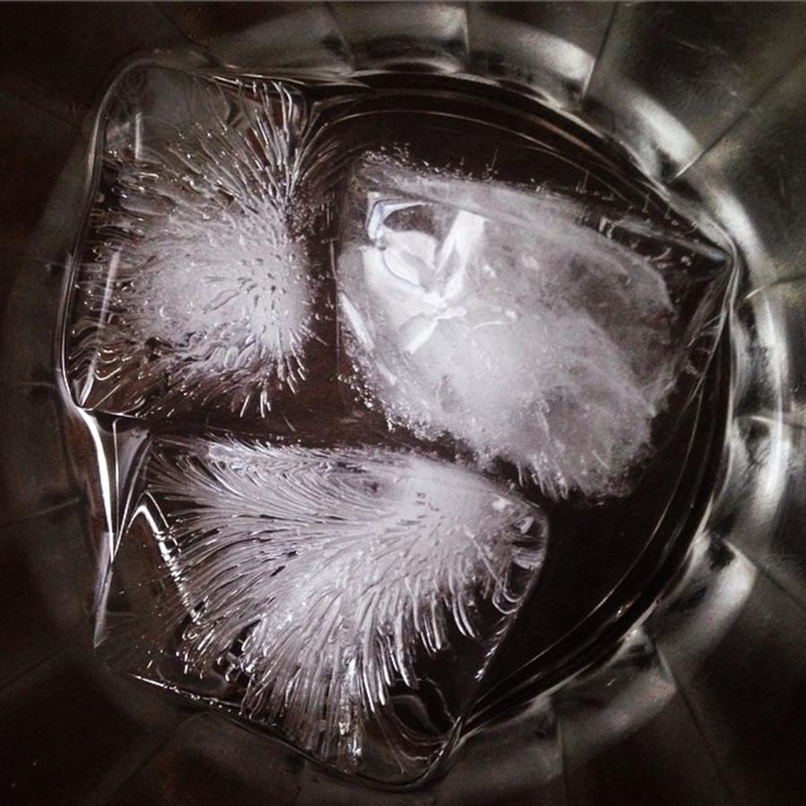 Ice Designs Photograph by Alyssa Pearson